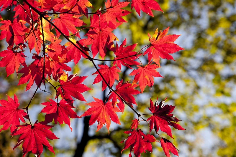 Herbstliche Spezialitäten