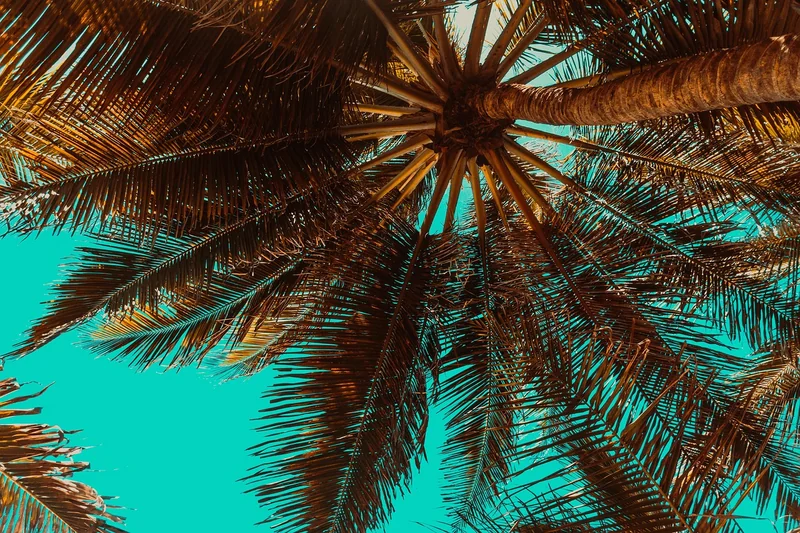 Sommerliche Gerichte