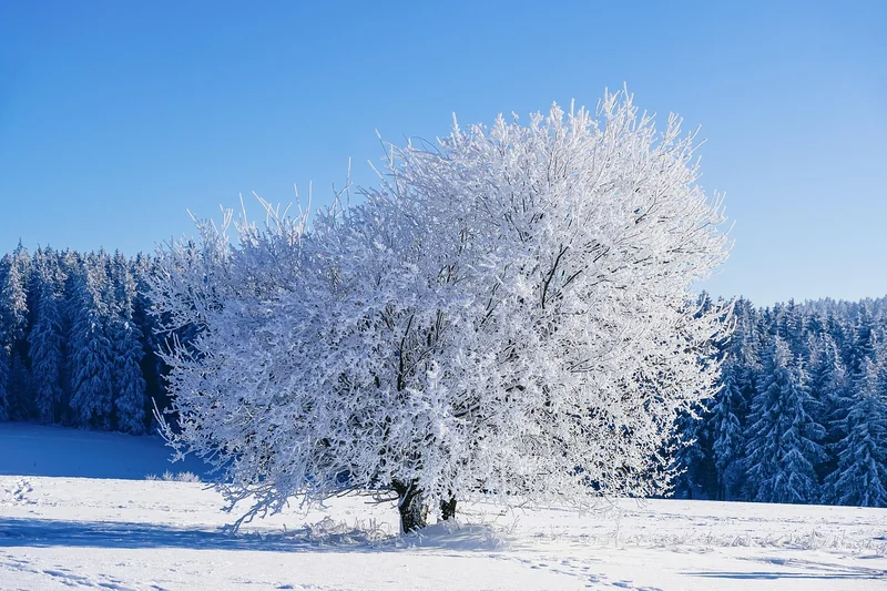 Winterliche Leckereien